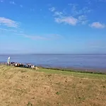 Wadden *