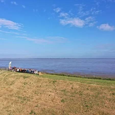 Wadden *